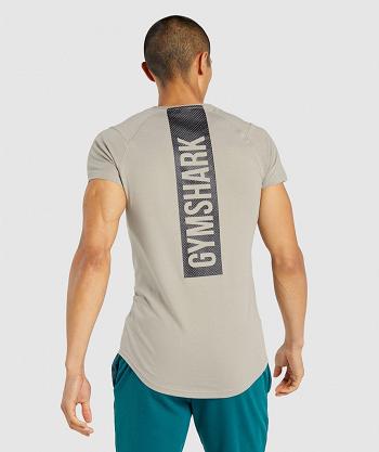 Gymshark Bold T Shirts Herr Grå | SE 3856CTV
